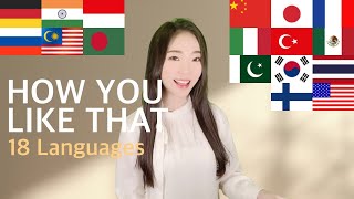 1 GIRL 18 LANGUAGES - How You Like That - BLACKPINK (Multi-Language cover by MiRae Lee)