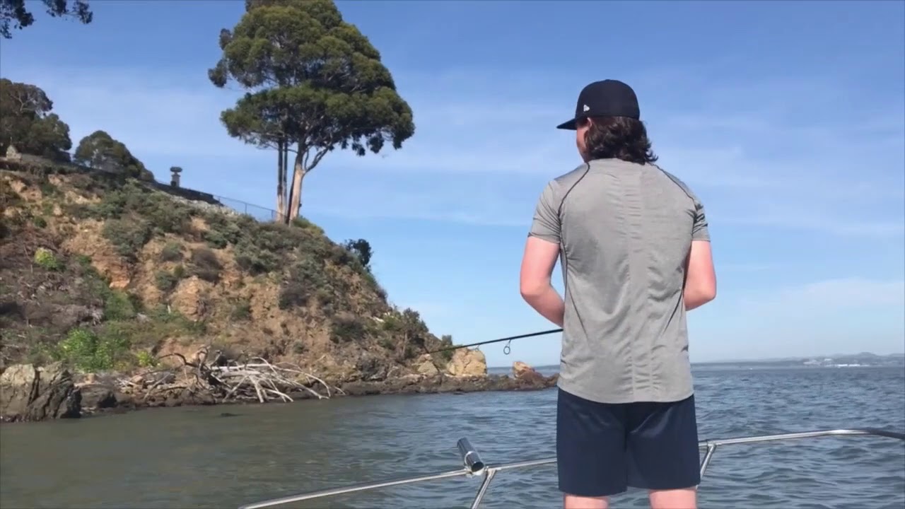 Saltwater (Bay Area) Fishing YouTube