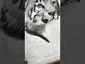 Realistic Tiger Drawing ✍️ (part-6)#shorts #youtubeshorts #youtube #drawing #tiger #artbyabhishek
