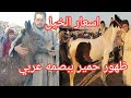 لاول مره بسوق الخيل ظهور خيل وحمير ببصمه عربي باكبر اسواق الجمهوريه وتغطيه كامله لارضيه 
