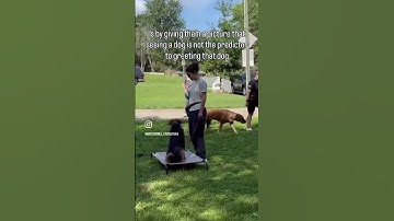 Working through reactivity