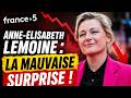 Coup dur pour Anne-Élisabeth Lemoine : France 5 face à une énorme désillusion