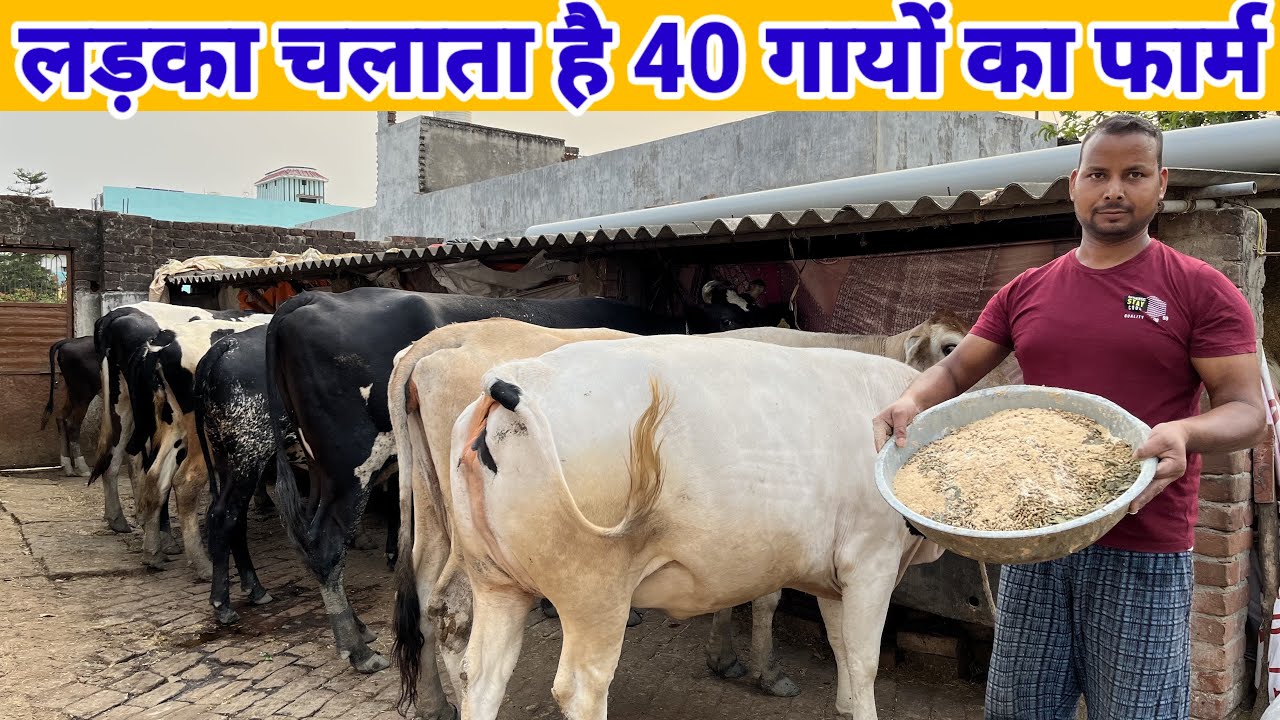 एक आदमी चलाता हैँ 40 गायों का डेरी फार्म | dairy farming business plan