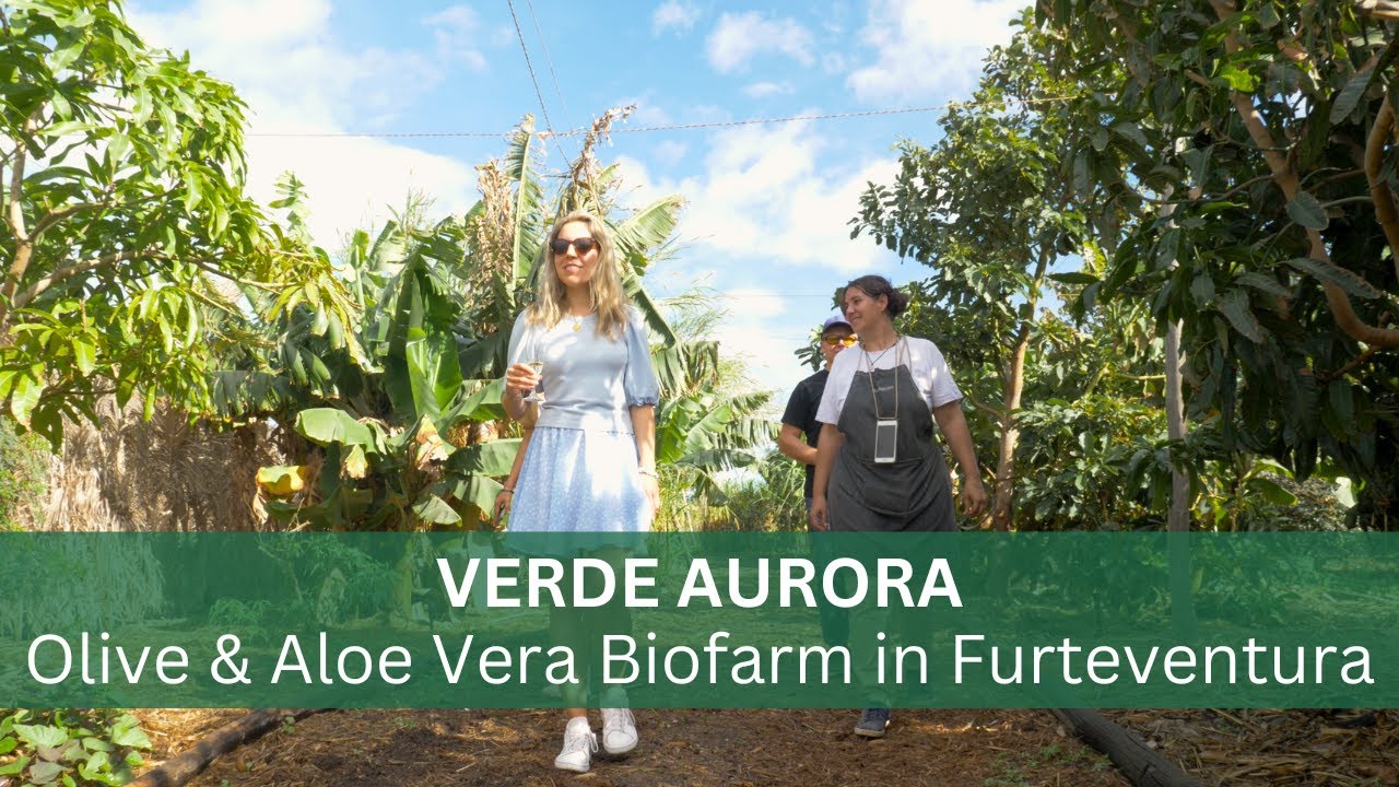 aloe vera bubble Aloe Vera Shampoo main image 0