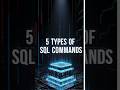 5 Most Used SQL Commands You Must Know!