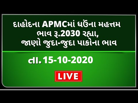 ગુજરાતની બધી જ APMCના તા.15-10-2020 દરેક પાકના ભાવ LIVE । TV9 NEWS