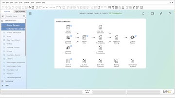 Intercompany Financial Consolidation for SAP Business One