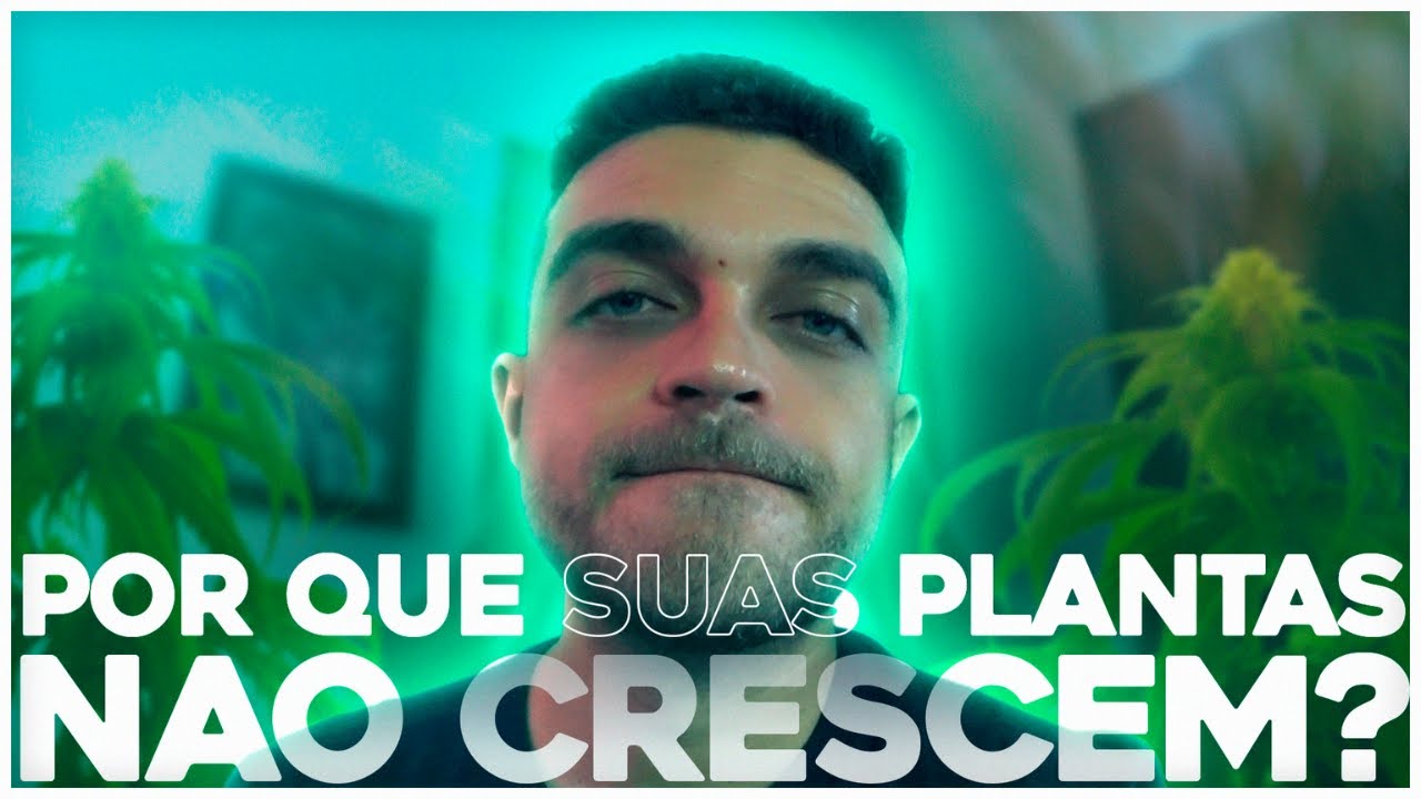 Por que suas plantas não crescem? | Cultivo Indoor e Outdoor