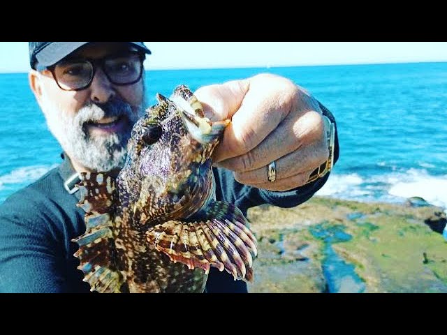 Watch Mediocre Cliff Fishing in San Diego on YouTube Watch Mediocre Cliff Fishing in San Diego on YouTube