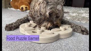 Nina Ottosson Hide N Slide Enrichment Food Puzzle Game for Dogs - Review/Demo