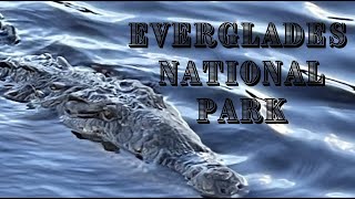 RV Camping Everglades Nation Park! NOT what we Expected!!