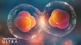 Cerule Stemenhance Ultra Máximo Apoyo Nutricional De Células Madre