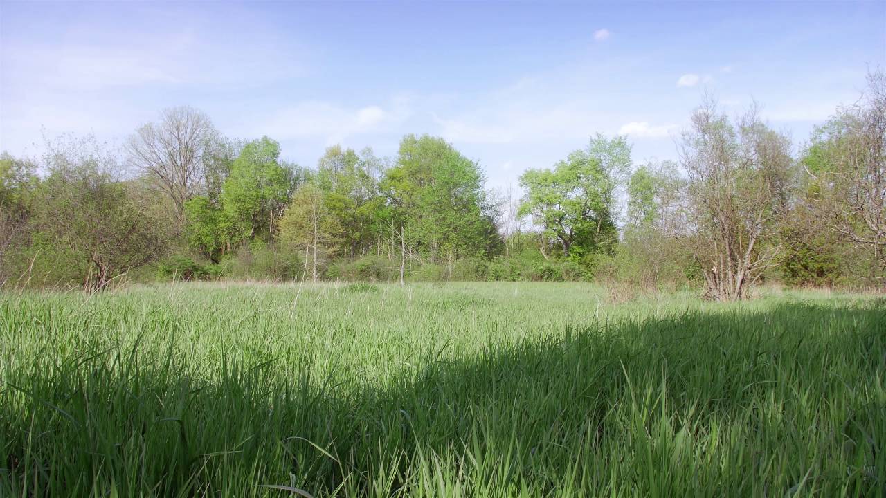 4K Landscape Scene - Field_O,Nature - Free Stock Footage ...