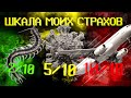 Самый жесткий страх, который я законтрил