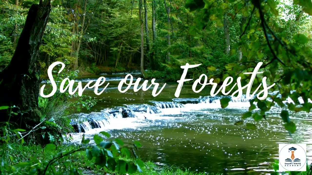 Lets save our forests