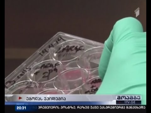 ასობით დაღუპული და 2000-ზე მეტი ინფიცირებული - ებოლას ვირუსით დაავადებულთა რიცხვი იზრდება