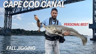 Caught my PERSONAL BEST..Cape Cod Canal Fishing