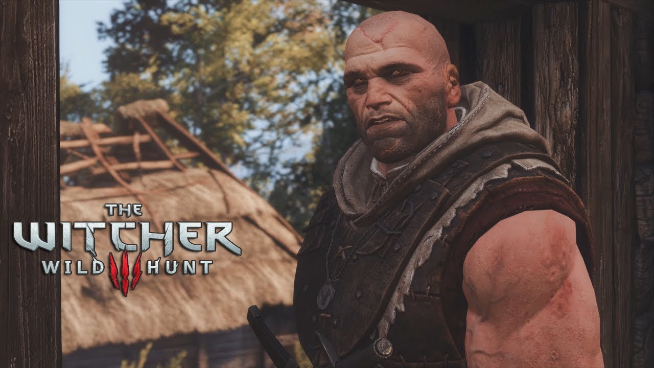 ghost mode witcher 3 ghost mode witcher 3