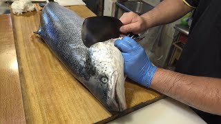 How to Cut a Salmon for Sashimi - Salmon Cutting Skills 鮭魚切割技能