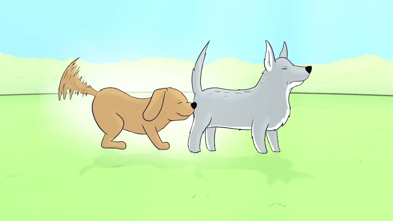 IPROMEA - Pet Probiotics Chino's Journey (Full version) 2023