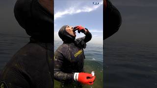 How to clean seashells, or sea scum, that don't form a true mussel. #fishing #fish