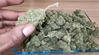 Auto Strawberry Banana Grow & Photoperiod Harvest Review 🍓🍌🔥🔥🔥🔥🔥