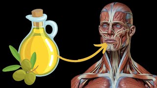 What Happens To Your Body If You Drink Olive Oil Every Day