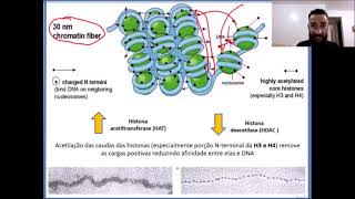Aula 9 - Eucromatina e Heterocromatina