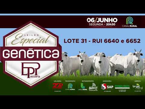 LOTE 31   RUI 6640 e 6652