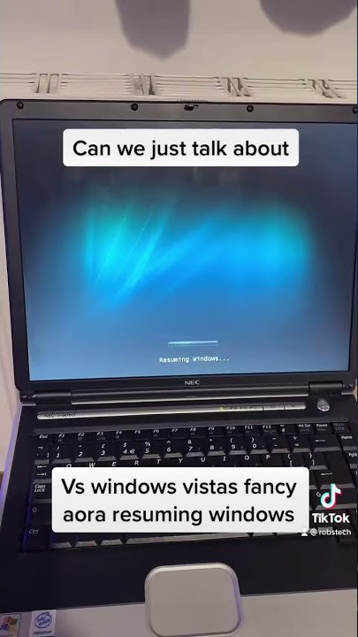 W7 VS VISTA animations?