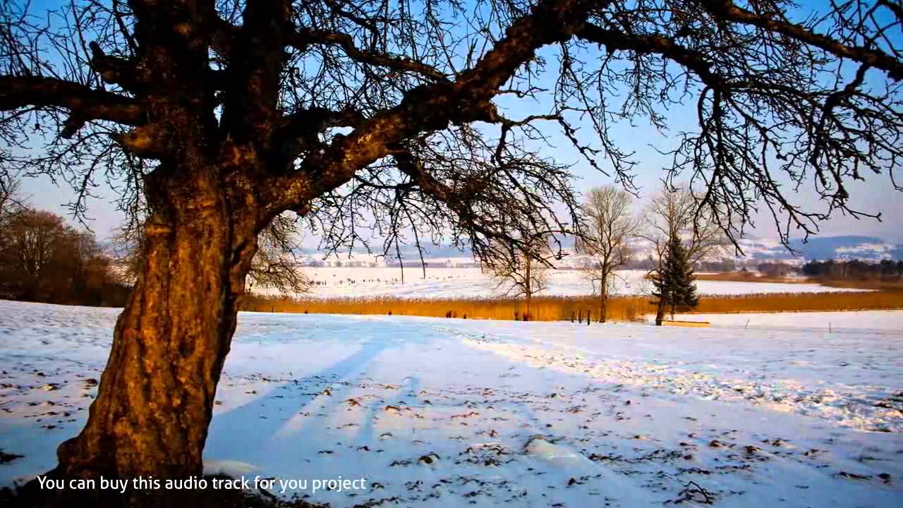 Timelapse Music (Royalty Free Electronic Background Music)