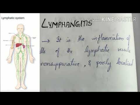 Video: Lymphangitis - Kamus Istilah Perubatan