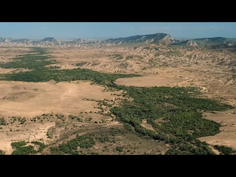 „უდაბნოს პირისპირ“ - ახალი დოკუმენტური ფილმი ჭაჭუნის აღკვეთილის შესახებ