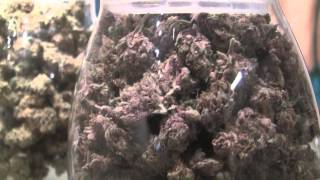 tokin daily: shopping