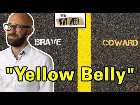 Why Week: Why Does Yellow Mean Cowardly? thumbnail