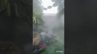 Lalitta Cafe In Chiangrai