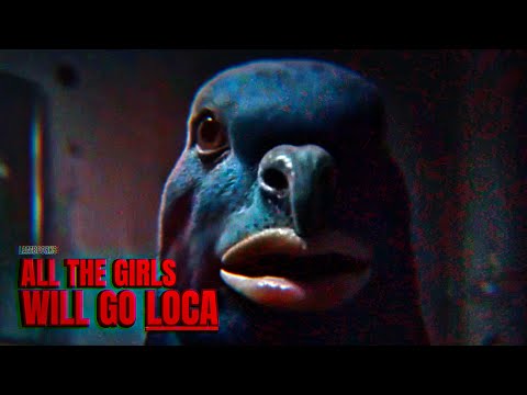 all the girls will go loca (meme)