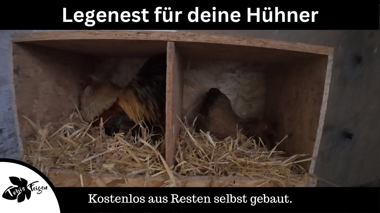 Hühner Legenest aus Resten selbst und kostenlos gebaut.