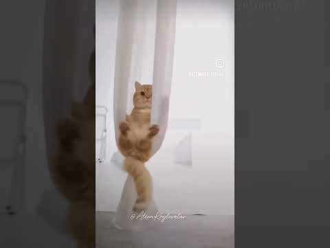 Знаки зодиака и их отношение к спорту, читайте описание ⤵️