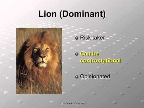 What are the personality traits of a lion?