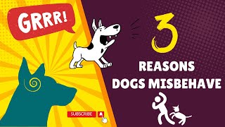 3 BIG Reasons Dogs Misbehave!