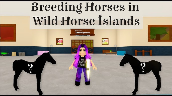 Special Code For Koolie Fans?!!! Wild Horse Islands 