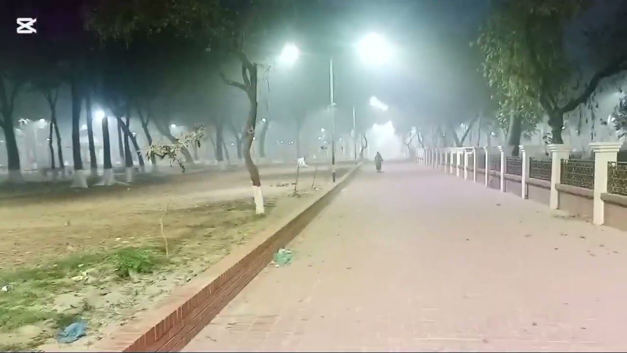 সকাল সকাল  এক সাথে থাকার সময় হাস্যকর😂🤣 কিছু মুহূর্ত  তুলে ধরা হলো #funny​  #youtube​