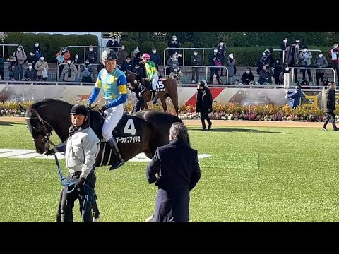 中山8R 冬至特別 武豊✕ブーケオブアイリス パドック（2021年12月26日有馬記念デー）
