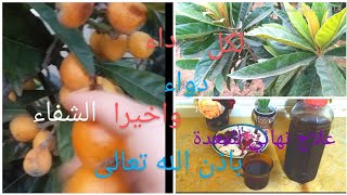 علاج  خطير للمعدة والقولون علاج نهائي باوراق (المزاح او الزعرور) والله انها مجربه