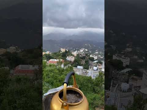 احلى شاهي على قمة جبال فيفا