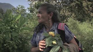 Video thumbnail of "Tierra Negra - Edson Velandia (música original del documental Sembradora)"