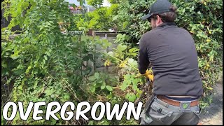 Overgrown Flowerbed Transformed! Let's Clear Up This Neglected Garden! by Acres Lawn Care 20,270 views 9 months ago 7 minutes, 51 seconds
