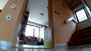 RUNCAM 2 sound problem