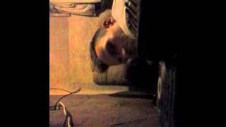 CAM00024.mp4